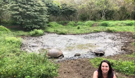 Santa Cruz Highlands - Tortoise Paradise!