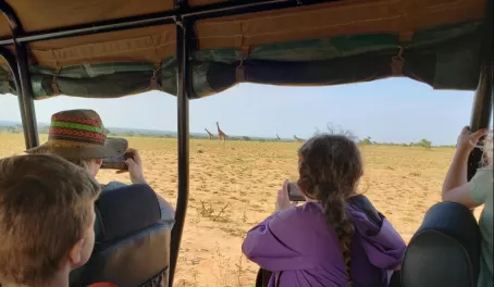 Photographing giraffes