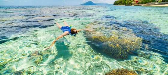 Explore the coral reefs in Indonesia