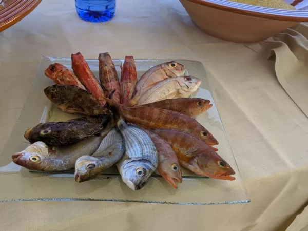 Ingredients for our Seafood Coucous, a specialty of Trapani