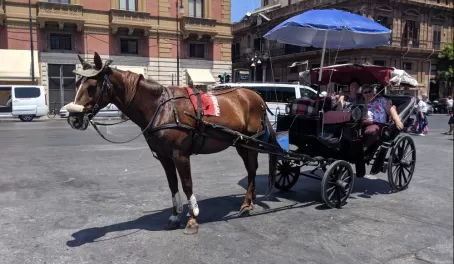 Carriage ride in Palermo