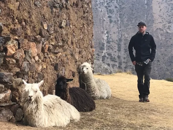 Day 5 of the Sacred Valley & Lares Adventure - Today we explored the archaeological site of Pumamarka, where there were some llamas and alpacas just hanging out.