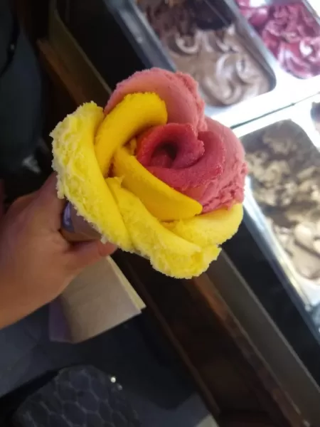 Flower shaped gelato!