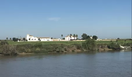 Historic buildings on the Guadalquivir river bank