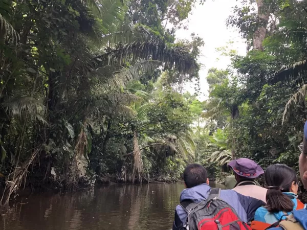 Feeling surrounded by the jungle as we paddle to La Selva.