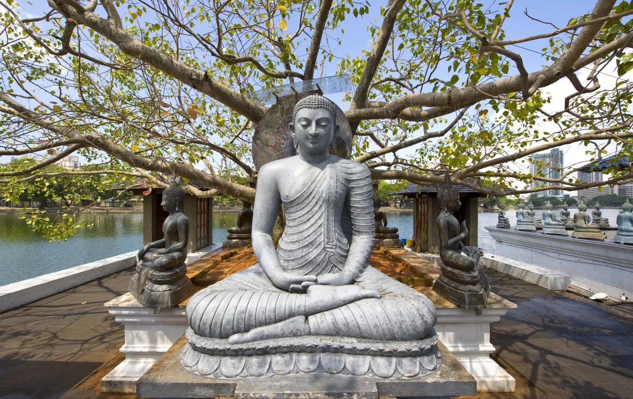 Buddha statue at a temple complex in Colombo