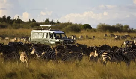 Enjoy game drives led by trained naturalist guides
