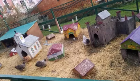 A tiny town with chickens and rabbits! Adorable.