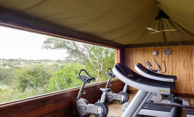 Take a quick workout break in between game drives