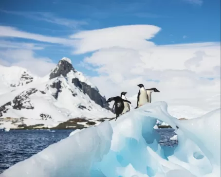 Penguins on an ice formation