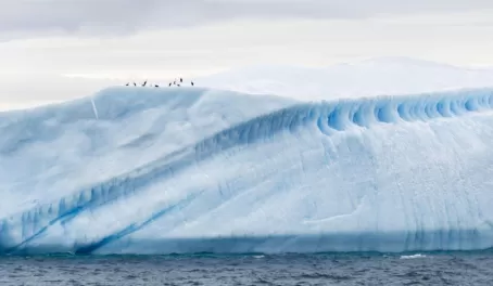Incredible ice in the Weddell Sea