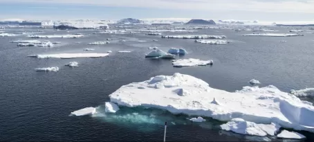 Cruising among icebergs in the Weddell sea