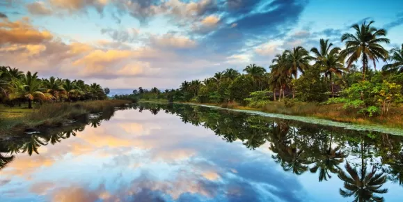 Sunrise and palm trees reflected in a calm lake