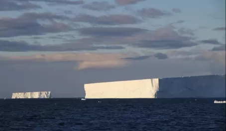 Icebergs!