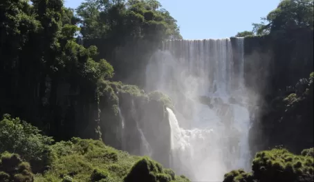 Iguazu falls and mist