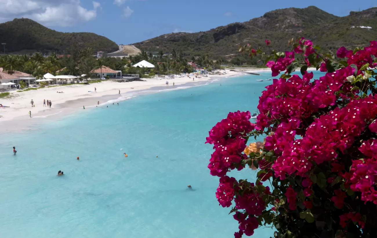 Colorful flowers and bright blue sea in the Caribbean