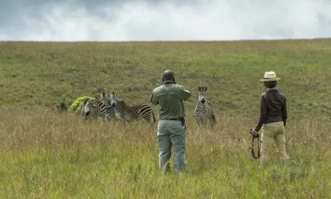 Close encounters with wildlife in Nyika National Park