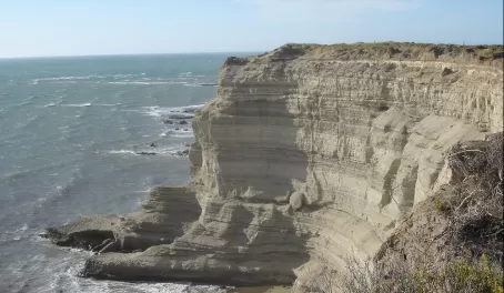 Forms produced by sea erosion