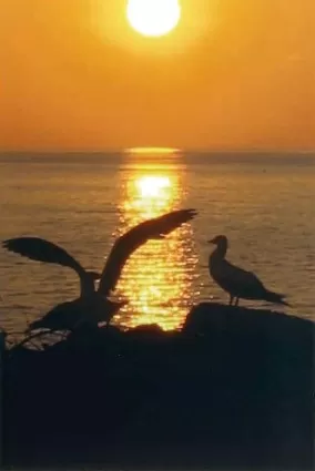 Galapagos at sunset