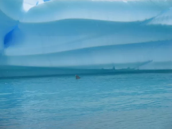 The magnificent blues of Antarctica