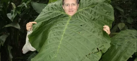 Man-sized leaf in Arenal Observatory Lodge garden