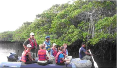 Paddling the panga through mangrove lined marine ponds.  