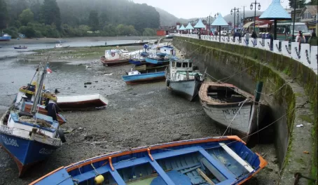 Fishing boats wait for the tide to rise