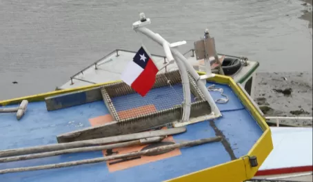 Waiving the Chilean flag