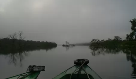 Morning canoe trip