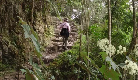 Maureen Hiking the Inca Trail