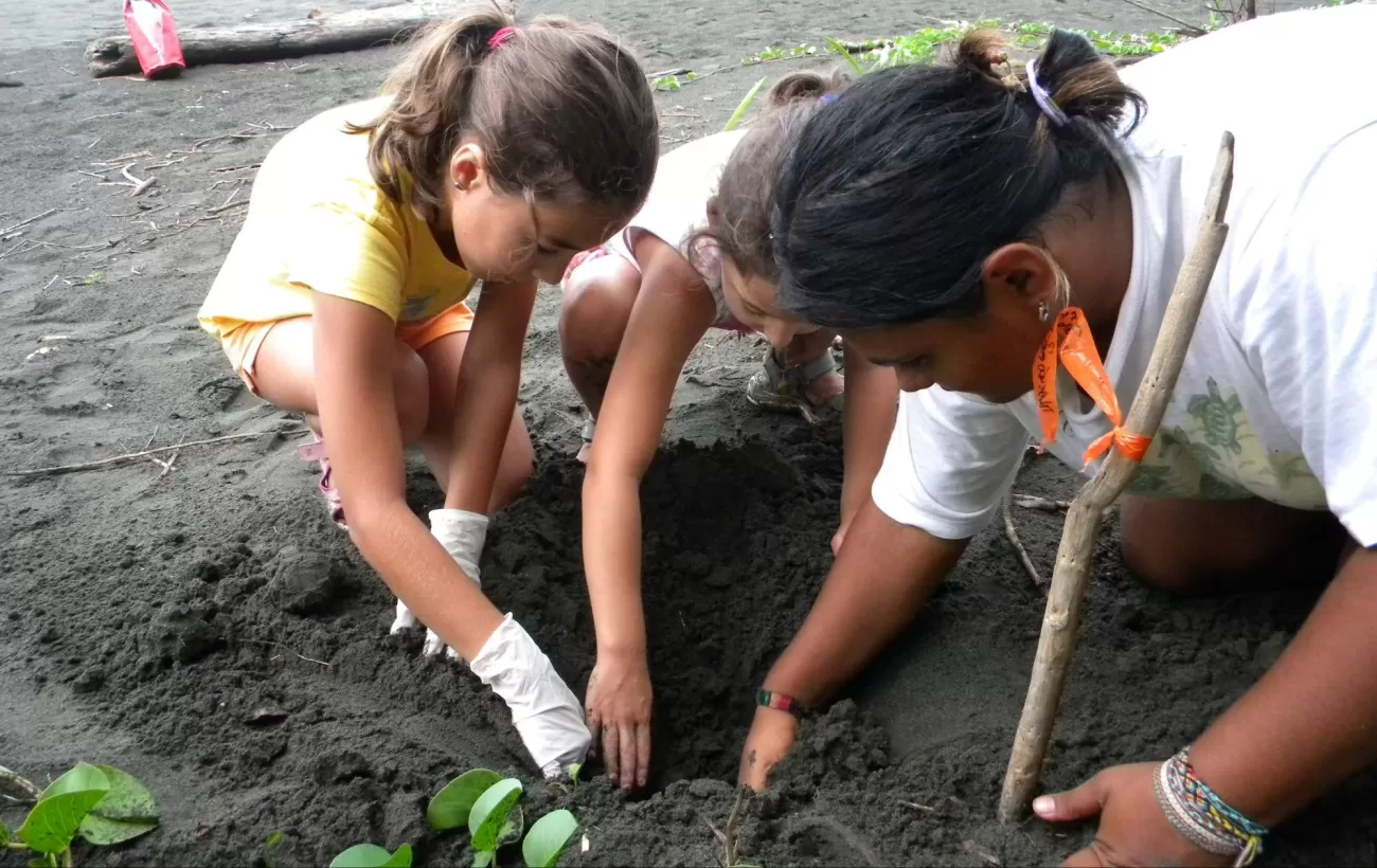 Digging for baby sea turtles at the Pacuare Nature Preserve