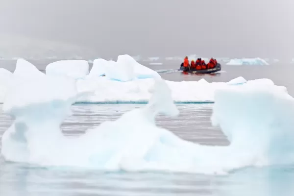 Antarctica Wildlife and Photography Expedition