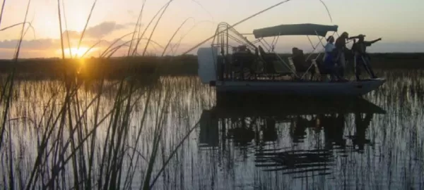Airboat takes you to many adventures