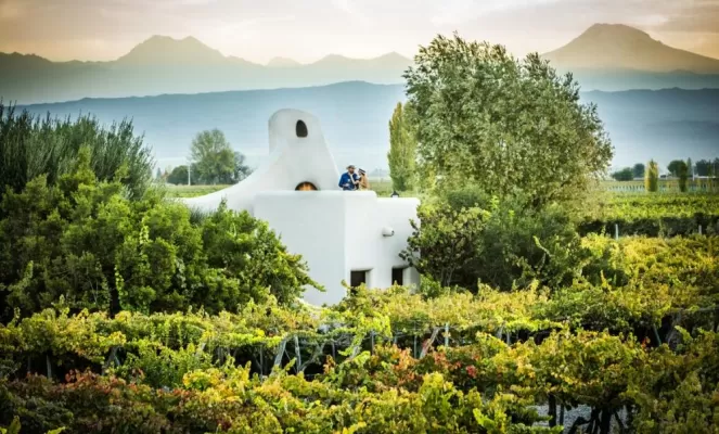 Cavas Wine Lodge landscape