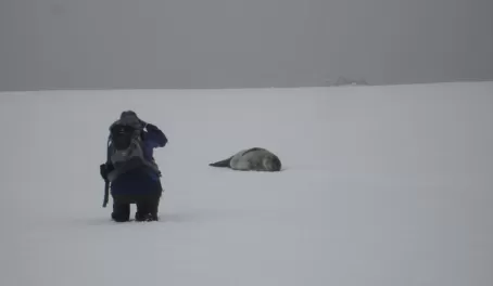Renee gets upclose with a Weddell Seal