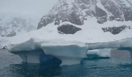 Antarctica's famous blue giants