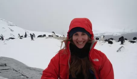 A lovely day with the Adelie penguins