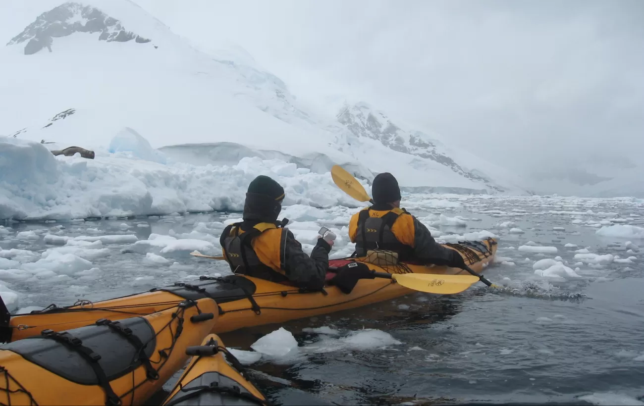 Kayakers -- see the Weddell seal to the left?