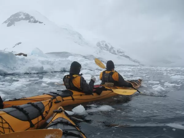 Kayakers -- see the Weddell seal to the left?