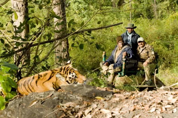 Tiger Viewing in the Park