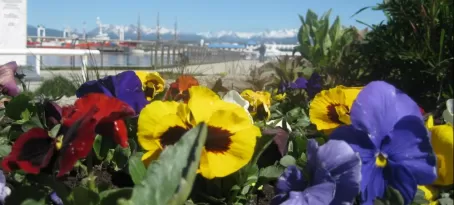 Ushuaia in the spring
