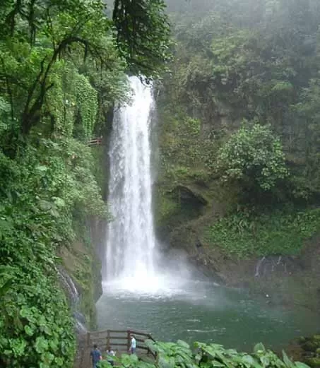 Lush Costa Rica
