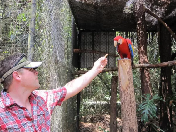Making friends with a macaw at the Belize Zoo