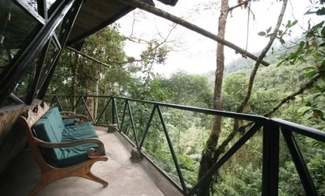 Bellavista Cloudforest Lodge near Mindo 