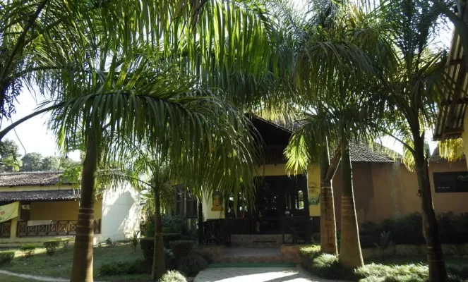 Rhino Lodge Bardia