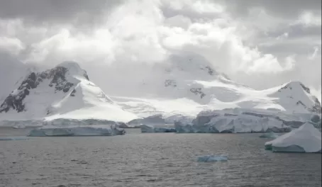 Huge icebergs resting near Paradise Harbor