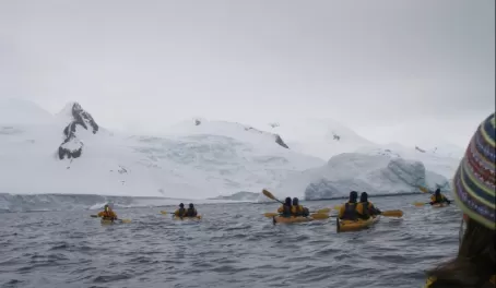 A group kayaks with humpback whales in Antarctica