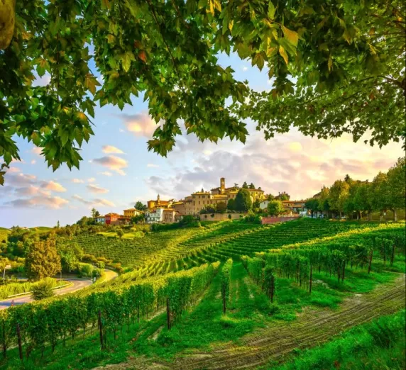 The rolling hills and vineyards in local village