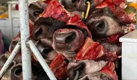 Snoots in the market