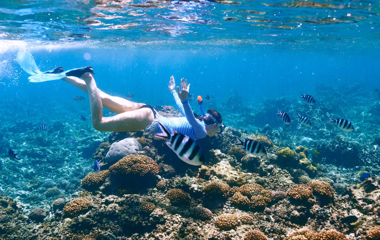 Snorkeling in crystal clear waters of Africa